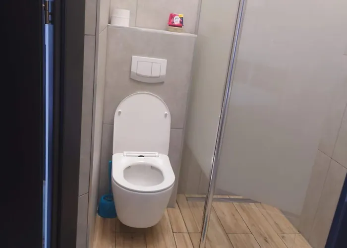 Nad Regalica 什切青