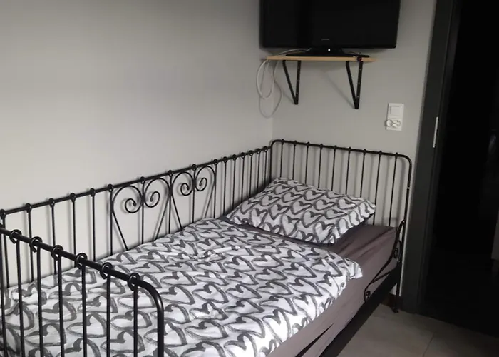 Nad Regalica 招待所 *